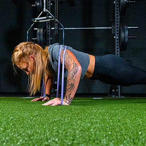 Serious Steel Fitness 32" Resistance Training Bands (Portable Exercise Band System Training Bands- Great for Individuals Under 5'10") - color: #1 Purple (5-35 lbs.)