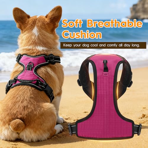 No Pull Dog Harness, No-Choke Soft Padded Reflective Dog Vest Harness with Front Clip & Top Handle, 2 Quick-Release Buckles, Adjustable for Small Medium Large Dogs - color: Hot Pink, size: X-Small