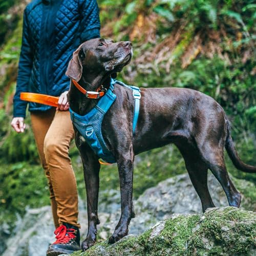 Kurgo Journey Air Dog Harness, Blue, Small - color: Blue, size: Small