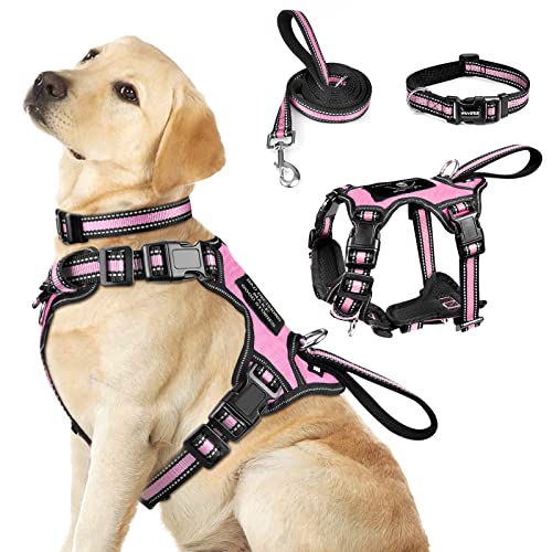 WINSEE Pet Harness Collar and Leash Set, All-in-one Reflective Dog Harness No Pull with Adjustable Buckles for Puppies, Small, Medium, Large, and Extra-Large Dogs (Large, Pink) - color: Pink, size: Large