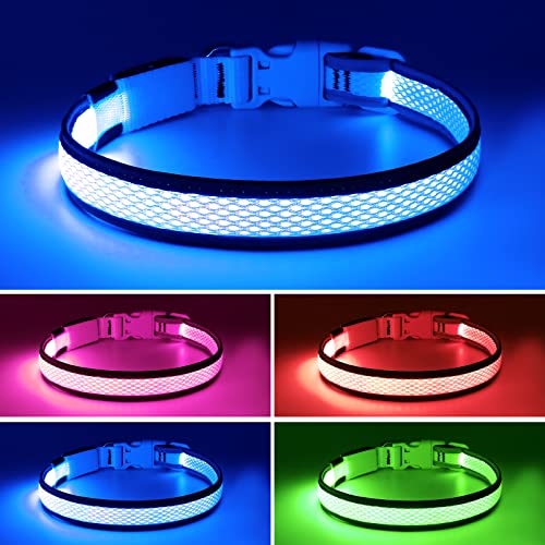 Flashseen LED Dog Collar, Light Up Dog Collar USB Rechargeable, Blue, M - color: Blue, size: Medium