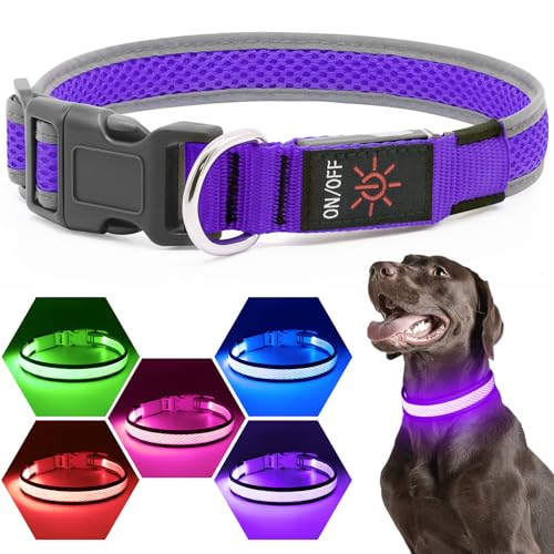 Flashseen LED Light Up Dog Collar, USB Rechargeable, Purple, S - color: Purple, size: Small