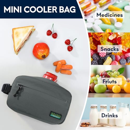Haimont Freezable Snack Cooler Bag, Mini Chill Reusable Freezer Lunch Bags with Adjustable Handle, Wear Resistant Small Insulated with Zip Closure, Gray - color: Gray