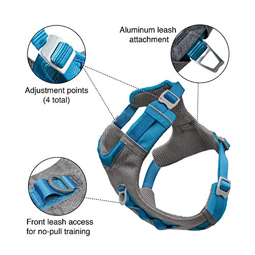 Kurgo Journey Air Dog Harness - Secure Fit for Active Dogs - Padded Chest - Lightweight Ripstop Fabric - Breathable Mesh - Reflective Trim - Back Assist Handle - Purple- X-Small - color: Purple, size: X-Small