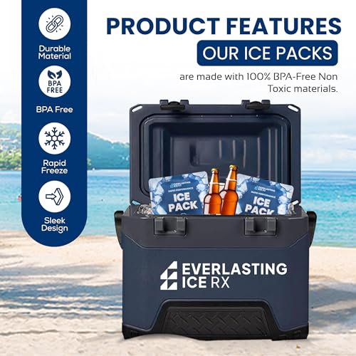 Reusable Ice Packs for Coolers and Lunch Box, Long Lasting 12 Hours, 4 Pack - size: 8.8 oz / 250 Grams