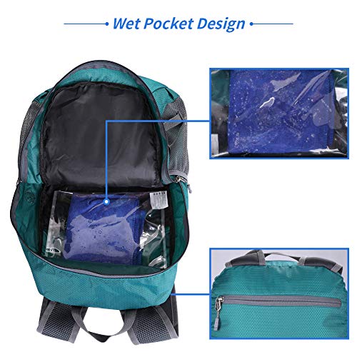 WATERFLY Lightweight Packable Hiking Backpack, 30L Day Pack Green - color: Green