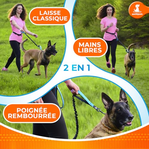 SparklyPets Hands Free Dog Leash, Medium & Large Breeds (Blue, 1 Dog) - color: Blue, size: 1 dog M/L