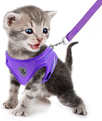 FEimaX Dog Harness and Leash Set for Walking, Soft Mesh Adjustable Easy Control Lightweight Cat Vest Harnesses with Reflective Strips, Escape Proof Small Dogs Cats Vests - color: Purple, size: XXS