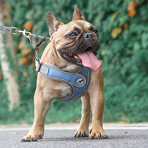 Dog Harness with Leash Set, No Pull Adjustable Step in Pet Vest - color: Blue, size: L