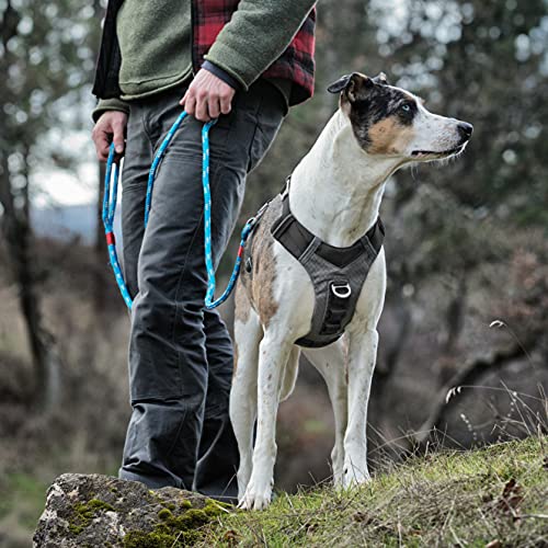 Kurgo Journey Air Dog Harness, Black, Medium - color: Black, size: Medium