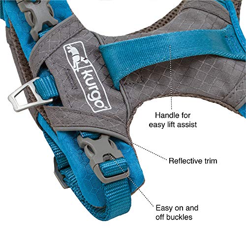 Kurgo Journey Air Dog Harness - Secure Fit for Active Dogs - Padded Chest - Lightweight Ripstop Fabric - Breathable Mesh - Reflective Trim - Back Assist Handle - Purple- X-Small - color: Purple, size: X-Small