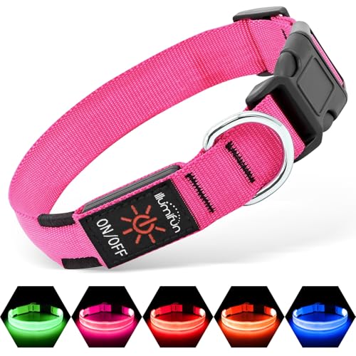 Illumifun LED Dog Collar, USB Rechargeable Light Up Collars, Waterproof Adjustable Safety Light for Small Dogs Night Walking (Pink, Small) - color: Pink, size: Small