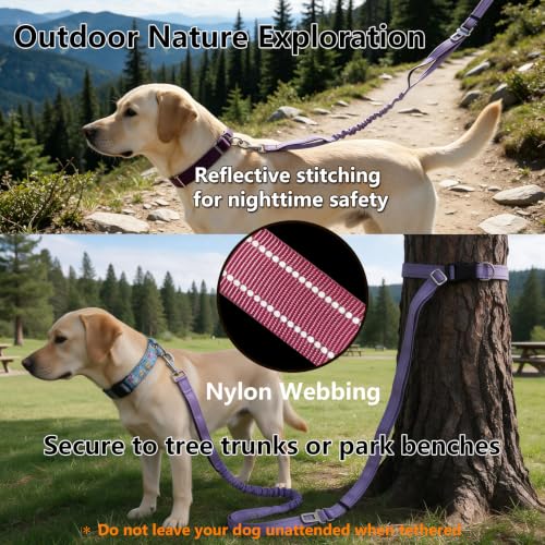 Triple Handle Bungee No Pull Dog Leash, Pink 6.23-8.53FT - color: Pink