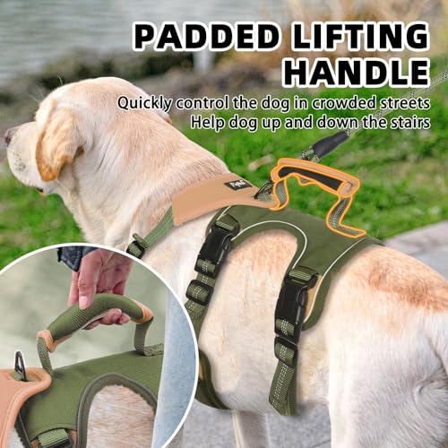 PUPTECK Escape Proof Dog Harness and Leash Set Upgraded No Pull Reflective Dog Vest with Lift Handle, Easy Control Pet Harness for Medium Large Dogs Training Walking Running, Green, L - color: Green/khaki, size: Large
