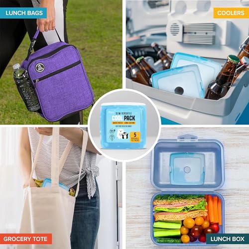 Healthy Packers Ice Packs for Lunch Boxes, Slim, Reusable, Clear 5pk Square - color: 5-Pack (Clear)