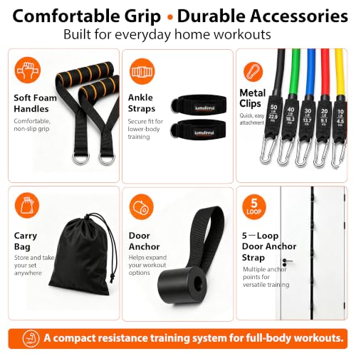 Resistance Bands Set with Handles and Door Anchor for Full Body Workout