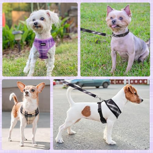 SCENEREAL Small Dog Harness and Leash Set, Plaid Beige, M - color: Beige, size: M: Chest Girth: 17"-21"