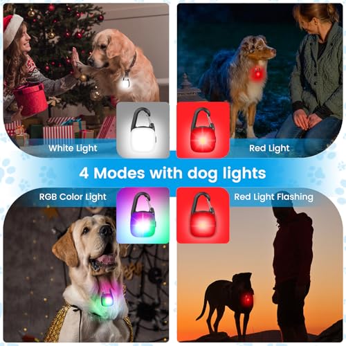 2 Pack Clip On Dog Collar Light, 4 Light Modes & Waterproof & Rechargeable