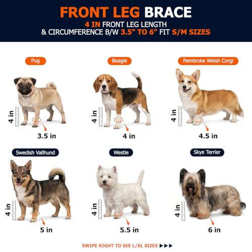 Labra Dog Front Leg Brace - Compression Wrap with Adjustable Straps - Dog Wrist Brace for Support - Leg Sleeve to Stop Licking - Aid in Wound Care and Recovery - Small/Medium - size: Small/Medium
