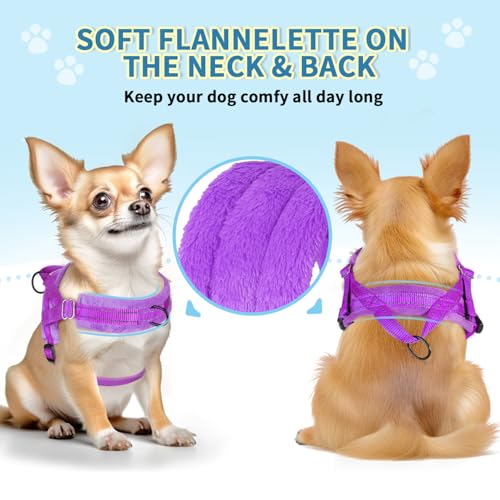 Lukovee Small Dog Harness and Leash Set, No Pull Soft Padded, 4ft Leash, XS - color: A-Purple, size: XS ( Chest 14'' ~ 18'')