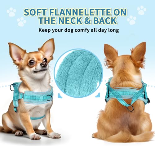SlowTon No Pull Small Dog Harness and Leash Set with Front Clip - color: Teal, size: X-Small