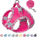 Petank Step in Dog Harness No Pull and Leash for Small Medium Dogs Cats. - color: Rose Red, size: XXS