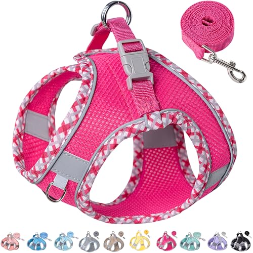 Petank Step in Dog Harness No Pull and Leash for Small Medium Dogs Cats. - color: Rose Red, size: XXS