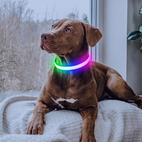 Flashseen Multicolor LED Light Up Dog Collar, RGB 9-Mode, USB Rechargable - color: White, size: Small