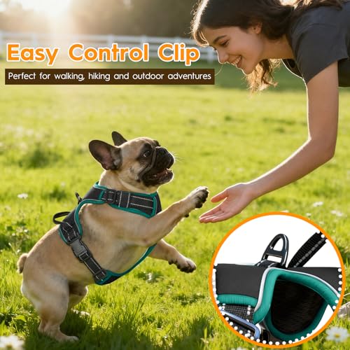 No Pull Dog Harness, No-Choke Soft Padded Reflective Dog Vest Harness with Front Clip & Top Handle, 2 Quick-Release Buckles, Adjustable for Small Medium Large Dogs - color: Black/Turquoise, size: X-Small