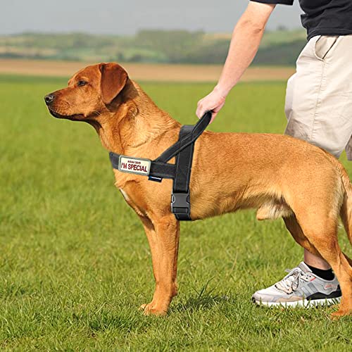 Annchwool No Pull Dog Harness with Padded Handle+5 Ft Leash(Black-Set,M) - color: Black Set, size: M
