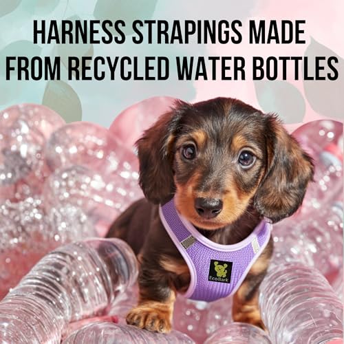 EcoBark Premium Teacup Dog Harness, Mini Step in Vest, XXXS, Lavender - color: Lavender, size: XXXS- 2 to 3 lbs- Chest up to 10 in (Pack of 1)