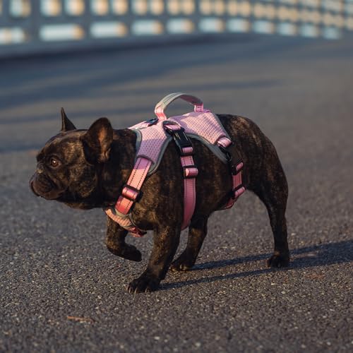Escape Proof Dog Harness, No Escape No Pull Reflective Dog Harness with Durable Handle, Adjustable Heavy Duty Vest for Small Medium Large Dogs, Walking and Training (Pink,M) - color: Pink, size: M (Pack of 1)