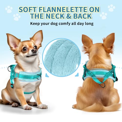 SlowTon No Pull Small Dog Harness and Leash Set with Front Clip - color: Teal, size: XX-Small