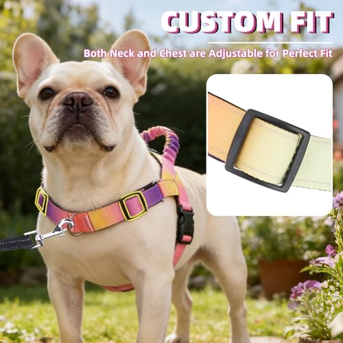 PUPTECK No Pull Dog Harness Small Sized Dog, Adjustable Reflective Pet Vest Harness with Bungee Handle, Escape Proof No Choke Harness for Small Dogs Walking Training, Pink & Purple M - color: Pink & Purple, size: M (NECK: 16.5"-19.5", CHEST: 21.5"-28")