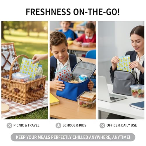 Ice Packs - Reusable PE Material Cooler Pack for Food, Fruits & Drinks - Lightweight Freezer Pack for Picnic, Work, Sports & Camping (CFX-2)
