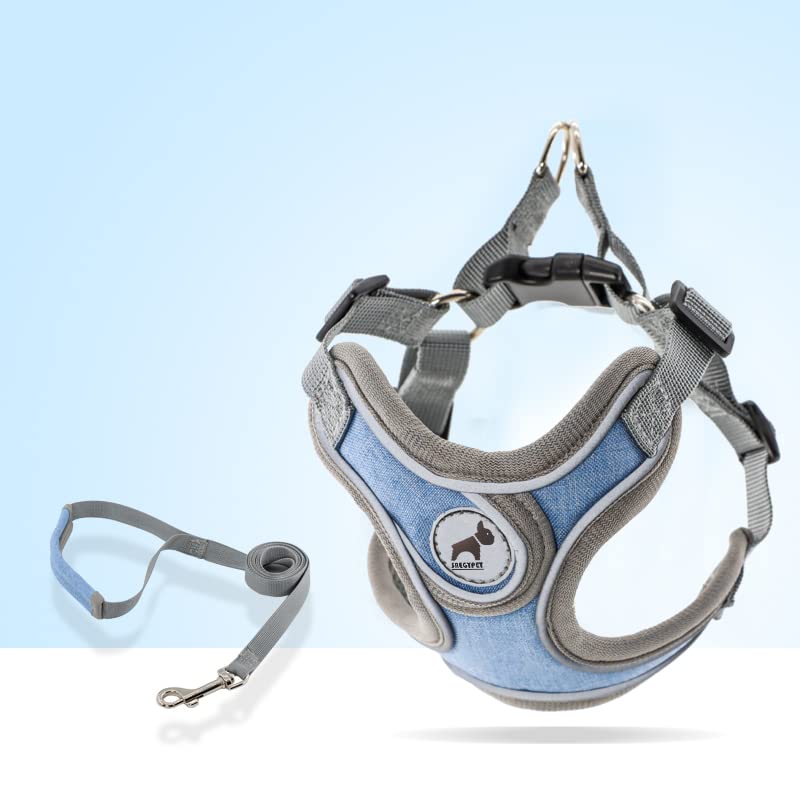 Dog Harness with Leash Set, No Pull Adjustable Step in Pet Vest - color: Blue, size: S