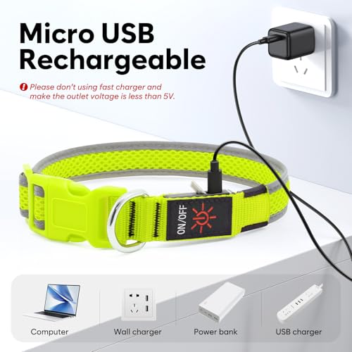 Flashseen LED Dog Collar, Light Up Dog Collar USB Rechargeable, Green, L - color: Green, size: Large