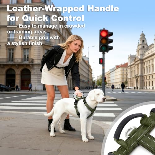 No Pull Dog Harness with Handle, Reflective Soft Mesh Padded Vest - color: Ranger Green, size: M