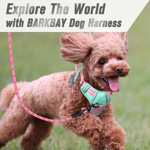 BARKBAY Dog Harness No Pull for Small Sized Dog Front Back Clips,Dog Vest - color: Cool Mint & Baby Pink, size: X-Small(Chest:15.5-19.5”)