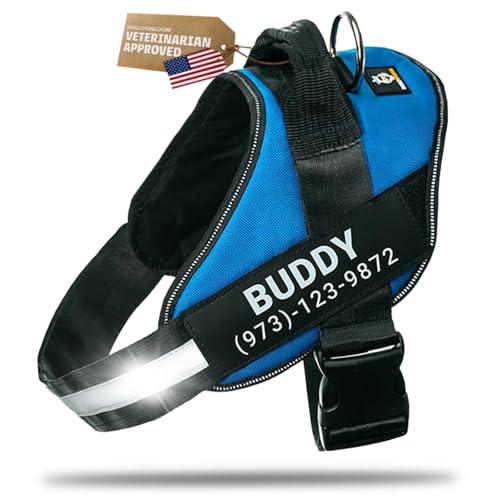 DOGGYKINGDOM Personalized Dog Harness with Custom Name Patches, Adjustable Reflective No Choke Dog Vest with Handle for XXL Dog, Blue, 2XL - color: Blue, size: 2XL (Chest: 37 - 42 in)