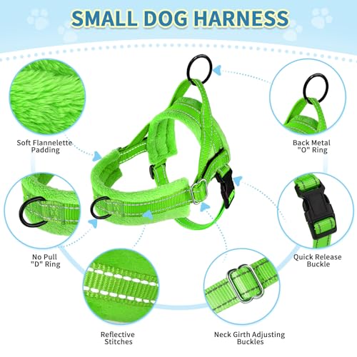 SlowTon No Pull Small Dog Harness and Leash Set with Front Clip - color: Green, size: Small