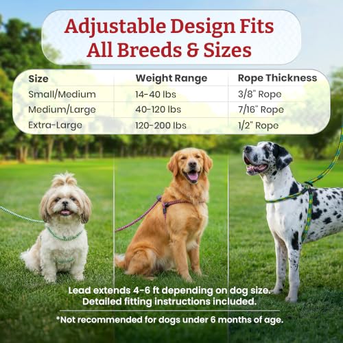 Harness Lead No Pull Dog Harness and Leash Set, Anti Pull Dog Harness, One-Piece Cushioned Rope Safely Prevents Escaping and Pulling (Medium/Large, Pink/Purple) - color: Pink/Purple