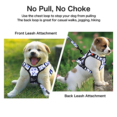 Petmolico No Pull Dog Harness and Leash Set with 4 Clips, Daisy, Medium - color: Dasiy, size: Medium
