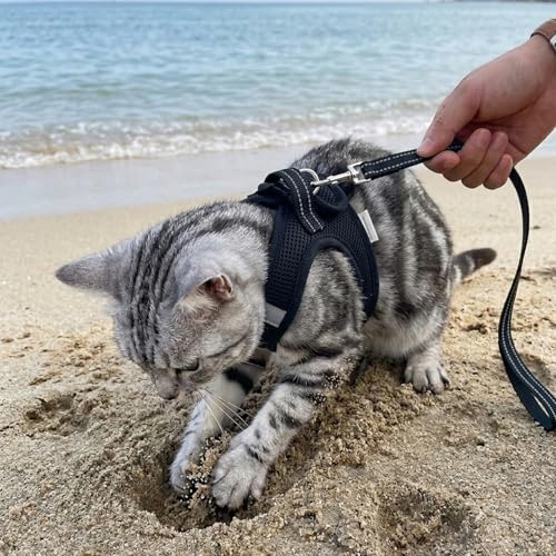 Heywean Cat Harness and Leash Escape Proof, Soft Breathable Mesh Kitty Walking Vest, Adjustable Step-in Kitten Harness Set with Reflective Strip for Small Cats - color: Black, size: Small