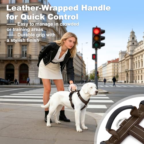 No Pull Dog Harness with Handle, Reflective Soft Mesh Padded Vest - color: Chocolate, size: L