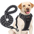 tobeDRI No Pull Dog Harness Adjustable Reflective Oxford Easy Control Medium Large Dog Harness with A Free Heavy Duty 5ft Dog Leash, Black, S - color: Black, size: Small