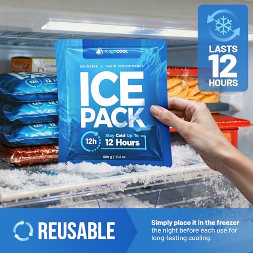 Ice Packs for Cooler, Reusable Ice Packs for Lunch Boxes, 4 Pack Long Lasting Freezer Packs, Leakproof Cooler Ice Packs for Lunch Bags and Coolers, BPA-Free, Food Safe - size: 4-Pack / 600g Each