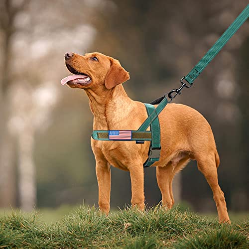 Annchwool No Pull Dog Harness with Padded Handle+5 Ft Leash(Green-Set,S) - color: Reflective-Green Set, size: S