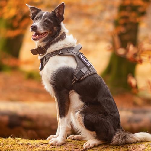 rabbitgoo Tactical Dog Harness for Small Dogs, No Pull Service Pet Vest - color: Brown Camo, size: S(Chest:16.1"-31.5",Neck:15.4"-21.6",Back:7.1")