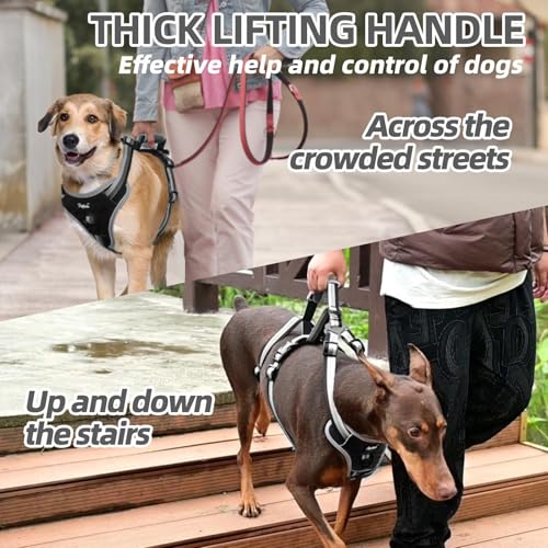 PUPTECK Escape Proof Dog Harness with Padded Handle, No Pull Pet Vest Harness Durable Reflective for Medium Large Dogs Walking Training and Running, Black, L - color: Black, size: Large